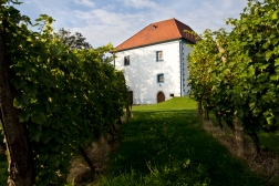 Stary winiarski dwór, dziś apartamenty z widokiem na winnice. Zlati Grič, Podravje.
