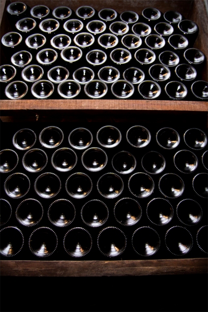 Zeszłoroczne wino czeka na chętnych w piwnicy Plajnšek